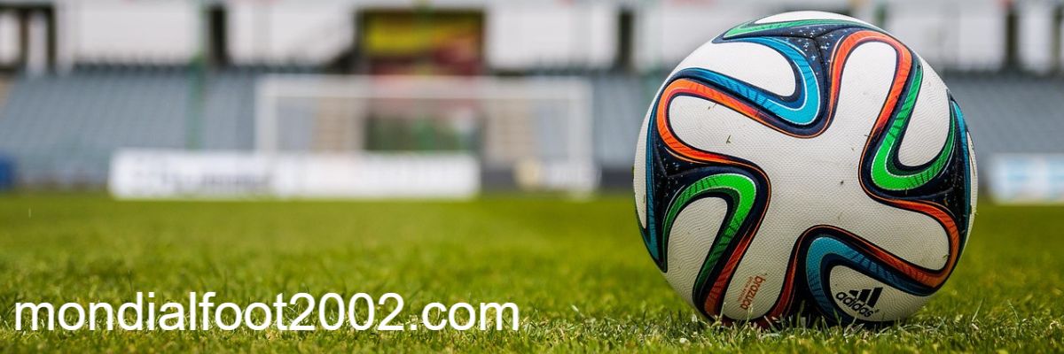 mondialfoot2002.com
